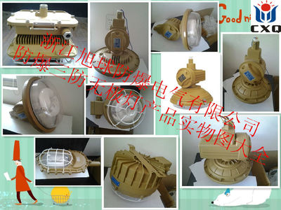 【10w20w30w40w50w吸顶式led防爆灯】其他照明灯具批发价格,厂家,图片,采购-浙江 温州乐清市其他照明灯具供应商/公司_赛门国际