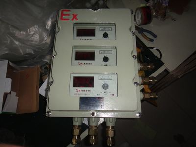 Exd隔爆型防爆仪表箱-乐清市腾阳防爆电器