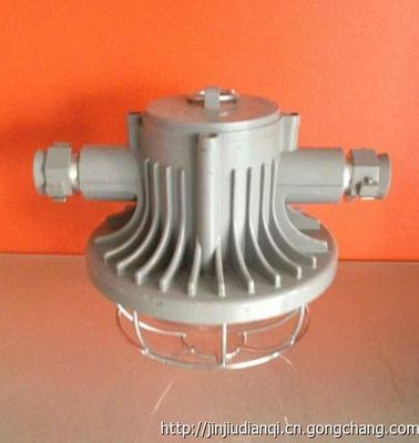 DGS24/127L(A)_乐清市金玖防爆电气_世界工厂网