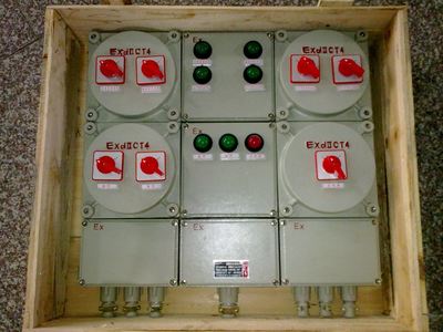 BXX51-6/K防爆动力检修箱-乐清市腾阳防爆电器